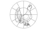 Мишень дробовых ружей 16-дольная "Глухарь"