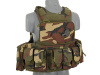 ACM CIRAS LAND versions - Woodland