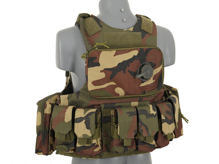 ACM CIRAS LAND versions - Woodland