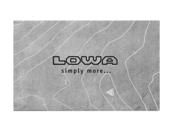 Ботинки тактические Lowa Zephyr GTX LOW TF