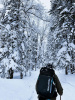 Рюкзак Naturehike 45 л NH18Y045-Q, черный