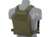 Simple Plate Carrier with Dummy Soft Armor Inserts
