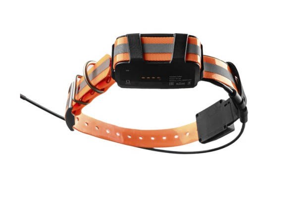 Трекер Artelv Tracker 2W Комплект ошейник с GPS в комплекте