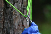 Паракорд 550 CORD nylon 30м RUS (khaki)